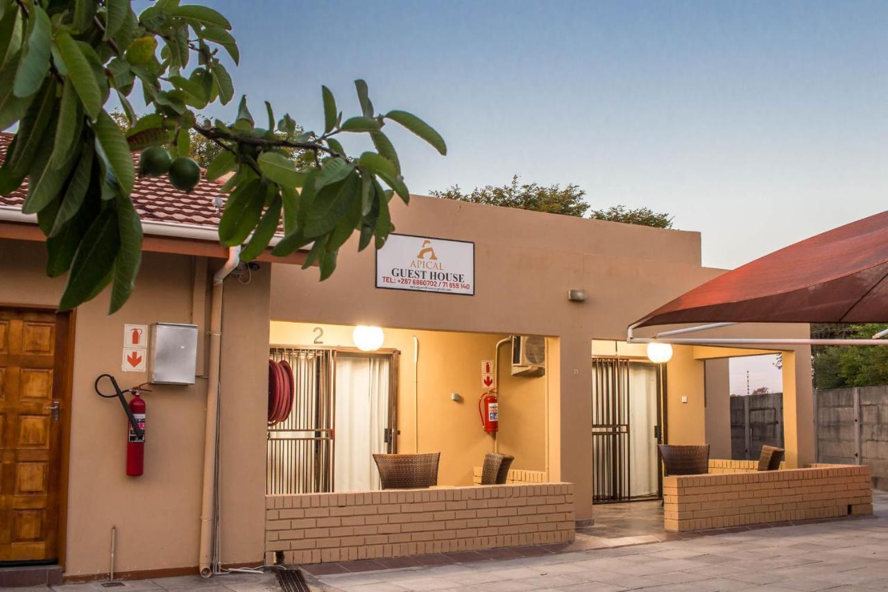 Apical Guesthouse Maun Zewnętrze zdjęcie