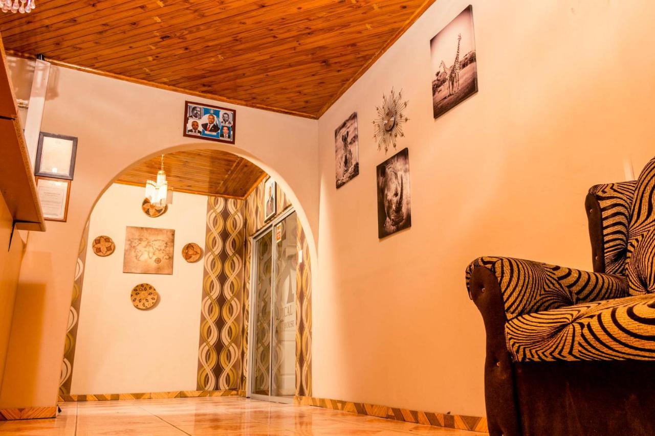 Apical Guesthouse Maun Zewnętrze zdjęcie